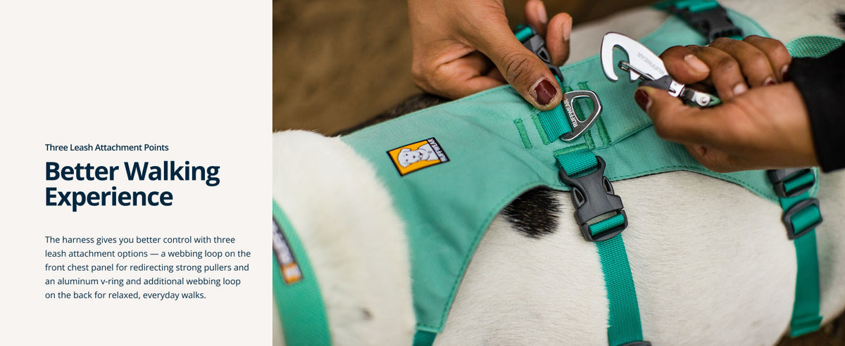 Ruffwear Flagline Lightweight Multi-Use Dog Harness, Sage Green