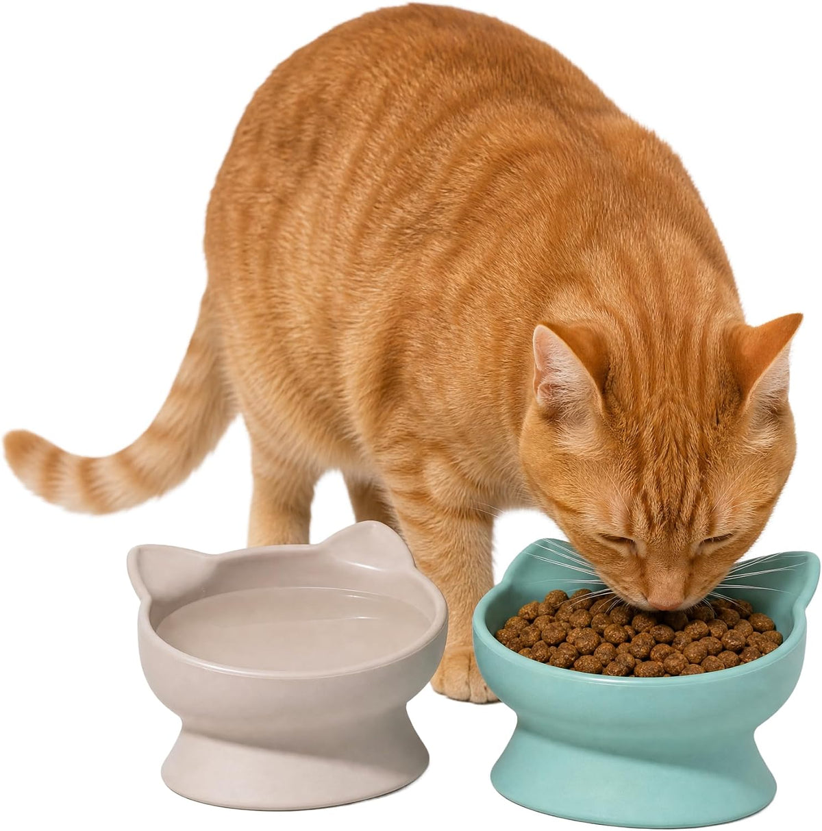 Kitty City Elevated Cat Bowls Set of 2 - Beige & Teal