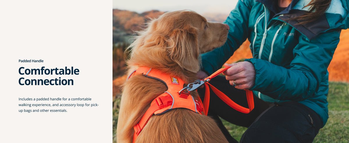 Ruffwear Front Range Dog Leash, 5 ft